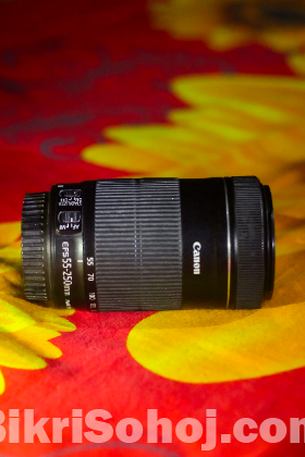 Canon 55-250mm STM DSLR Camera Lens